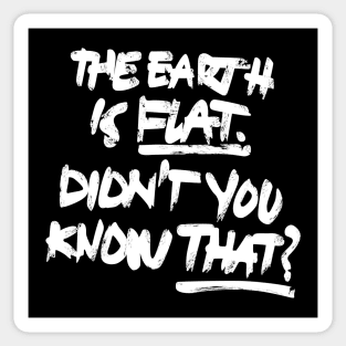 the earth is flat didnt you know that? Sticker